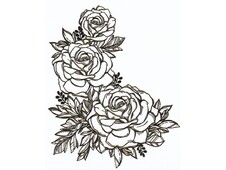 TELA PREDISEGNATA CM 40X50 ROSE