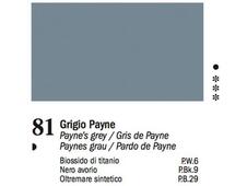VAN DYCK GRIGIO PAYNE 60ml