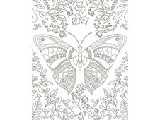 TELA PREDISEGNATA CM 40X50 ALI