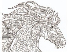 TELA PREDISEGNATA CM 40x50 CRINIERA