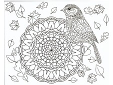 TELA PREDISEGNATA CM 40x50 AUTUNNO