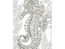 TELA PREDISEGNATA CM 40x50 CAVALLUCCIO