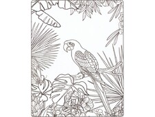 TELA PREDISEGNATA CM 40x50 PAPPAGALLO